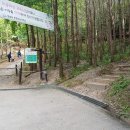 광장군보쌈 이미지