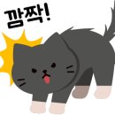 유명한굿모닝공인중개사사무소 이미지