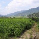 복골농장 이미지