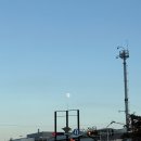 갑오갈비탕 이미지