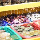 대성수족관 이미지