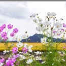 화상천로 이미지