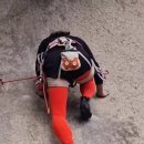 형길 이미지