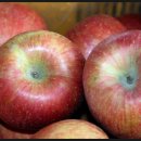 전일농장 이미지