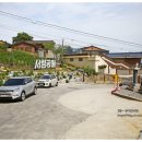 전북 여행지 추천 5월 부안 여행 철쭉명소 서림공원