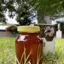 양구 벌꿀 이미지