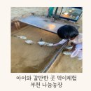 현서농장 | 아이와 갈만한곳 부천 먹이주기체험 나눔농장 후기