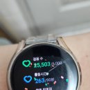연말은 돈 없고 살쪄서 너무 괴로와,,,,
