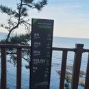 청사포정거장 이미지