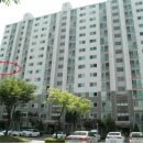 행복이열리는둘리약국 이미지