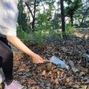 긴고랑지구 | [마이너스 웨이스트] 아차산 플로깅_와이퍼스,제로그램