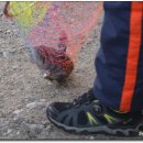 등대바다 이미지