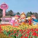 즐거운 뽑기랜드 이미지