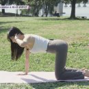 발란스바디메디칼 이미지