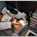 굿모닝보청기여주점 이미지