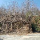 각산리 마을회관 이미지