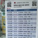 부곡동 돌담해안숲공원 | 묵호 당일치기 혼여행, ktx타고 뚜벅이 여행코스