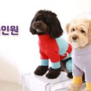 문멍 네이버블로그