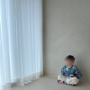 폴인럽제주 이미지