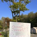 [여우하우야영장] 11번 데크 후기/ 서울근교 캠핑장 추천/ 경기도 시흥 캠핑장/ 개별화장실 오토캠핑장...