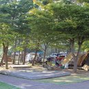 청포대숲속야영장 이미지