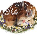 석호로1 이미지