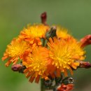 수목가든 이미지