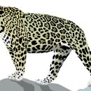 강경애헤어