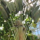 만안평생교육센터_상 | [세종특별자치시] 국내 최초의 도심형 수목원, &#39;국립세종수목원&#39;