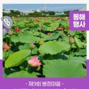 봉정연꽃체험마을