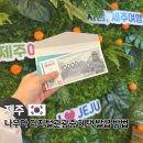 카멜리아캐슬 | 제주도 여행 나우다 디지털 관광증 발급 방법 할인 혜택 (feat. 제주공항 여행지원금 이벤트)