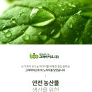 뉴톡깍이파워-깍지벌레 톡토기 친환경 제품 이미지