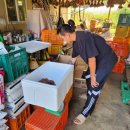 제천덕산우체국 이미지