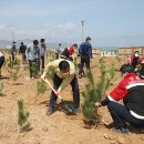 동해시-46 이미지