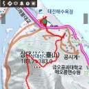 관어대 이미지