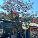 이솔라 식당 이미지