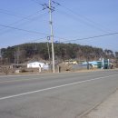 수당리 Daum카페