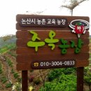 주옥 Daum카페