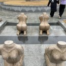 건강과성박물관 제주 이미지