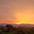 달빛연가 이미지