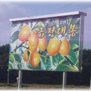 금정농장(4) 이미지