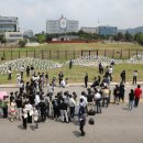 "해외 온 것 같아"..용산공원 시범개방 첫날 '북적' 이미지