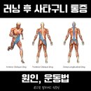 [백석]체력up폼롤러 필라테스 | [정릉재활필라테스] 러닝2탄!! 사타구니 뻐근함 지속된다면? 러너들을 위한 필라테스 솔루션