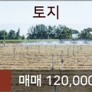 연원푸른의원 이미지