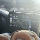 미아니아 | 포항여행 | 곤륜산 | 두낫디스터브 | 스페이스워크