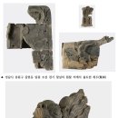 왕실의원 이미지