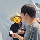 신일4리마을회관 | 태안 키즈캠핑장 신두리세븐패밀리 캠핑장 갯벌 수영장 두가족사이트 이용후기