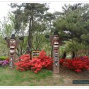 남성현초등학교 이미지