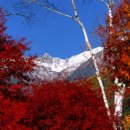 10월22(화)~26[마감]일본 남알프스 나가센도 옛마을길&센조지키고원 단풍 온천 럭셔리여행 이미지