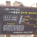 서광동리곶자왈 이미지